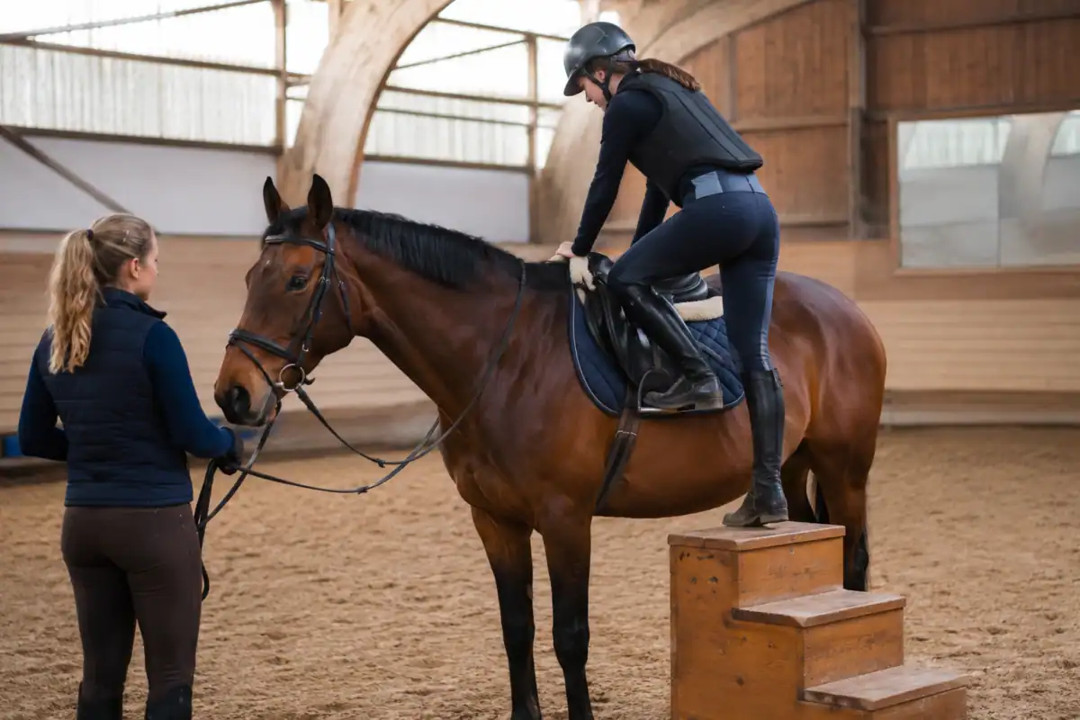Quelle race de cheval choisir pour bien débuter à cheval ?