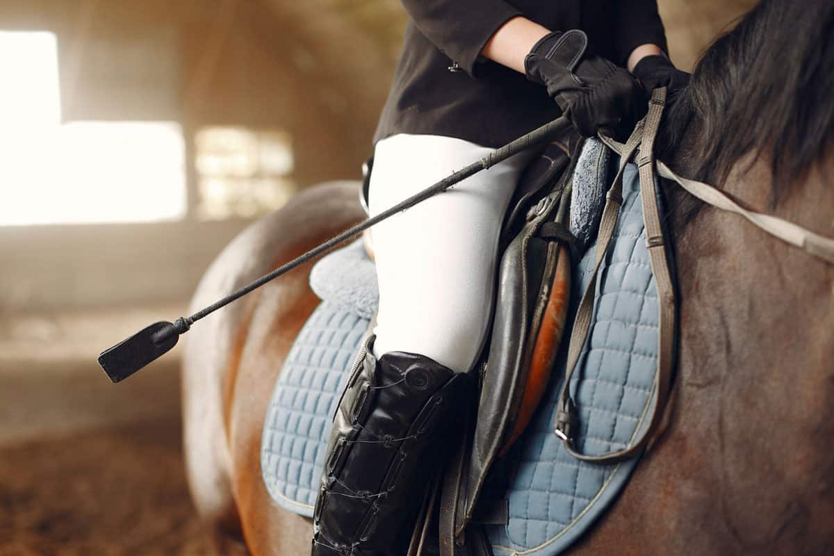 Amortisseur cheval