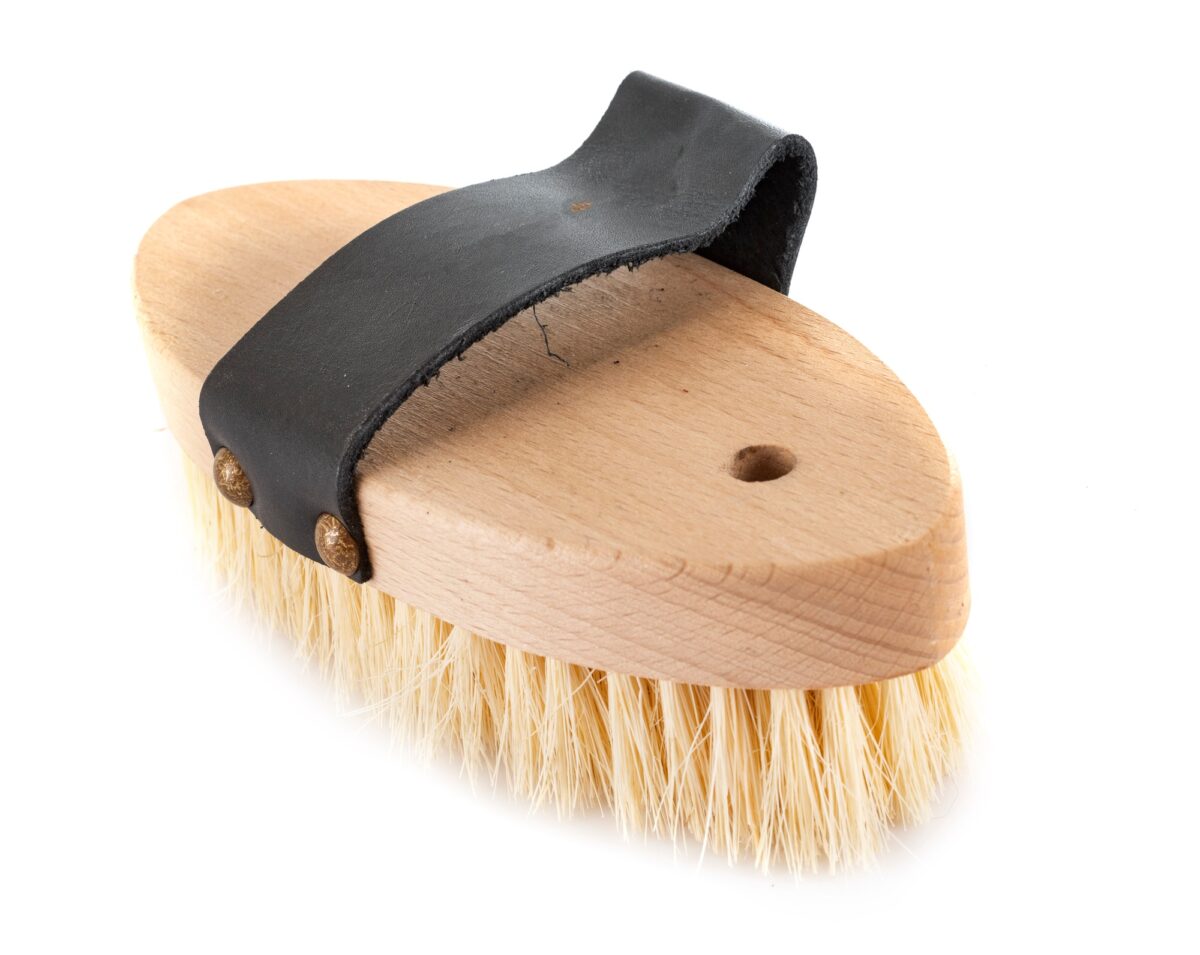 brosse pour cheval