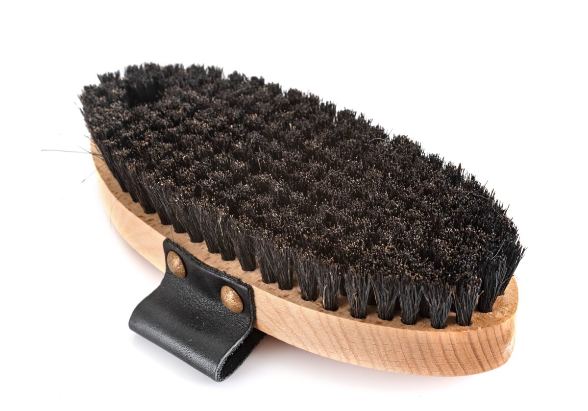 brosse pour cheval