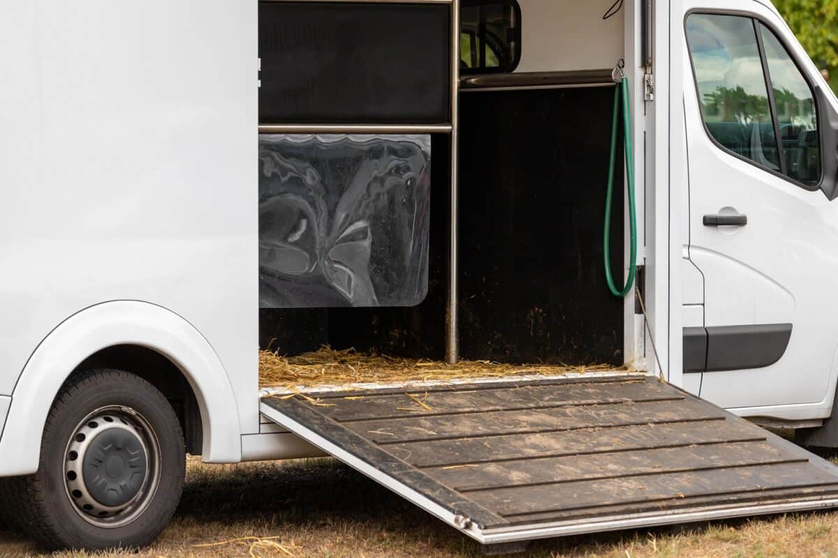 Remorque de transport de chevaux avec hayon ouvert avec foin et fumier et transport de chevaux