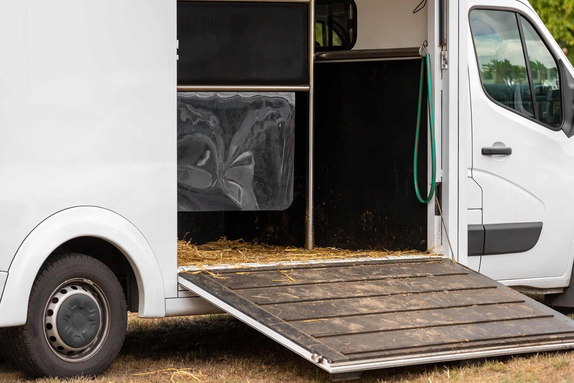 Remorque de transport de chevaux avec hayon ouvert avec foin et fumier et transport de chevaux
