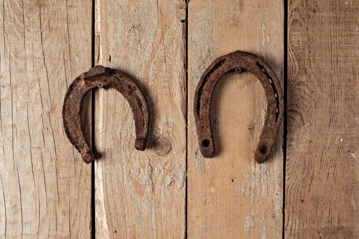 Pourquoi ferrer un cheval : guide complet avec conseils