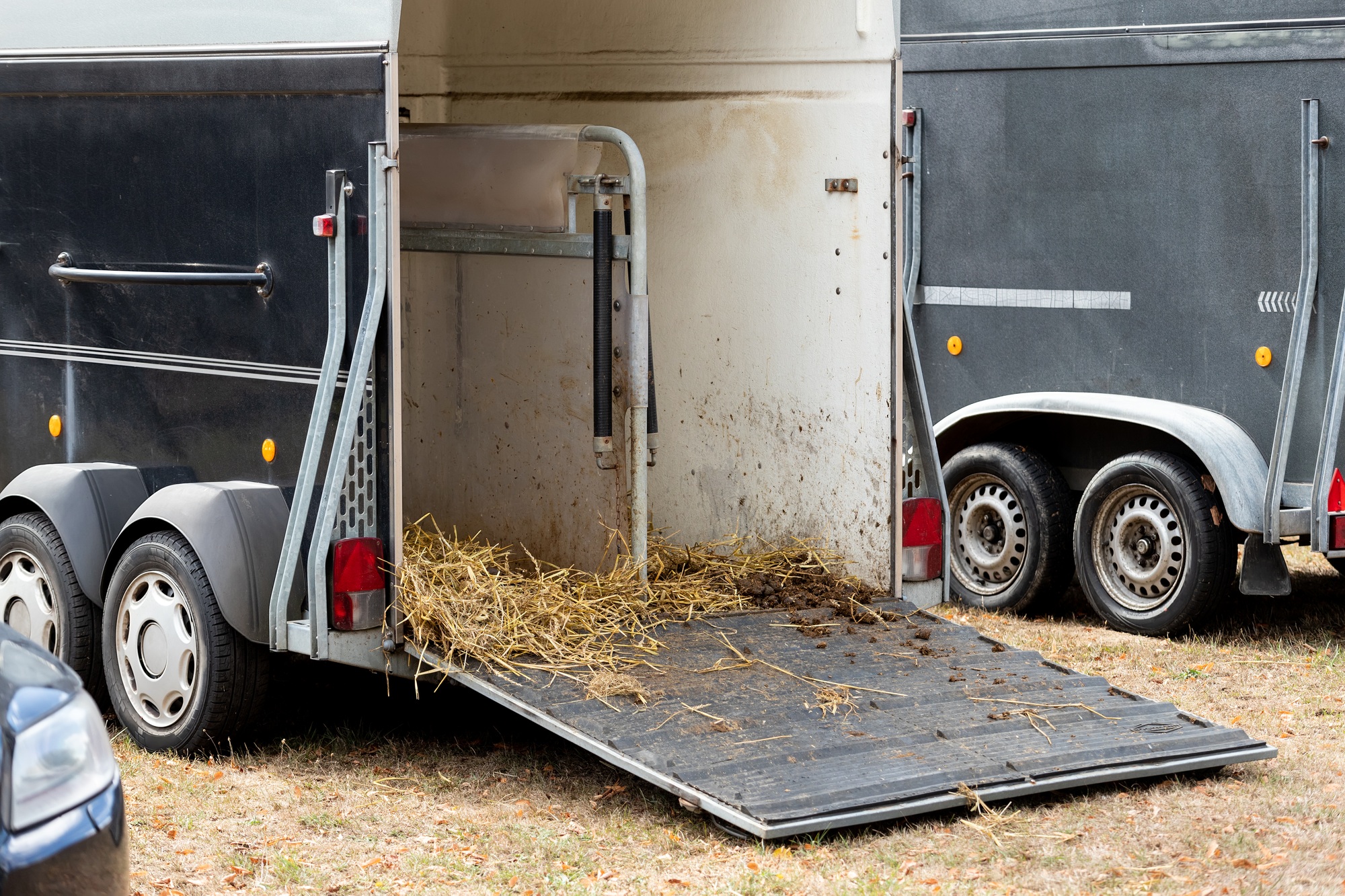 Remorque de transport de chevaux avec hayon ouvert avec foin et fumier et transport de chevaux