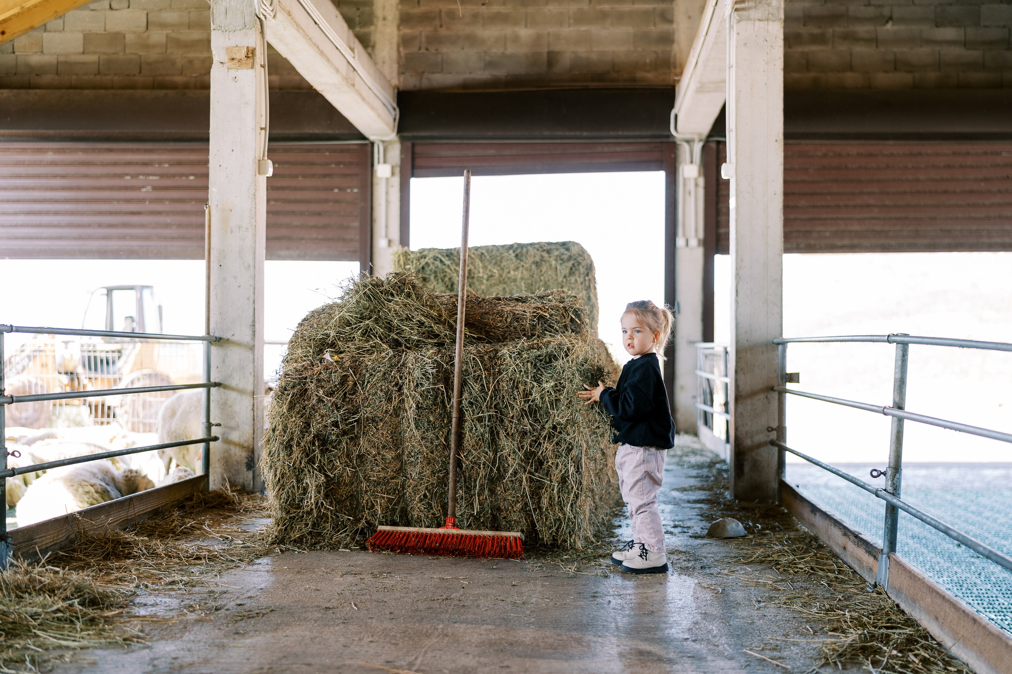 Une petite fille se tient près d'une meule de foin et regarde les moutons dans les enclos de la ferme. Vue de côté