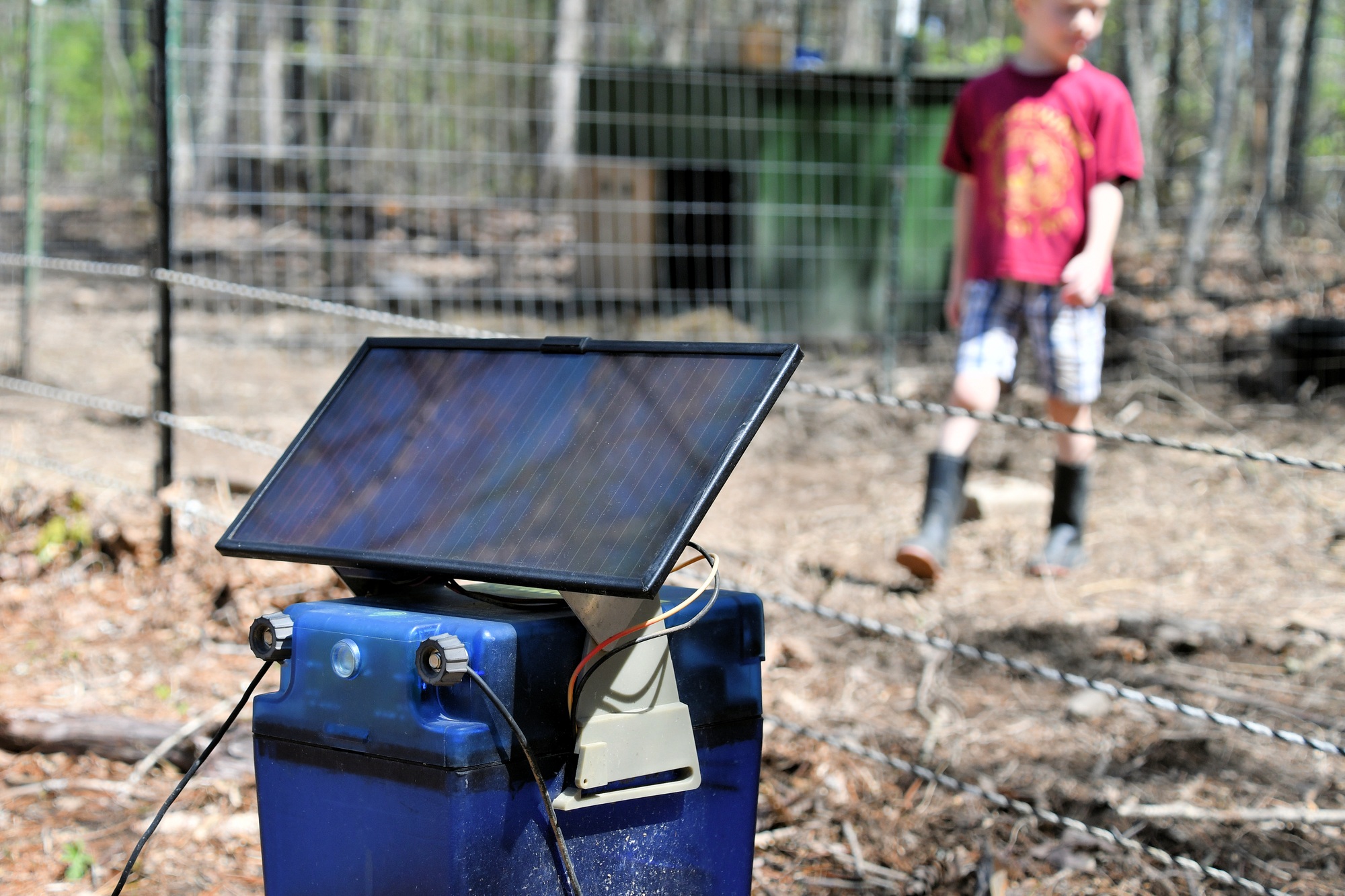 Utilisation de l'énergie solaire pour alimenter une clôture électrique à la ferme